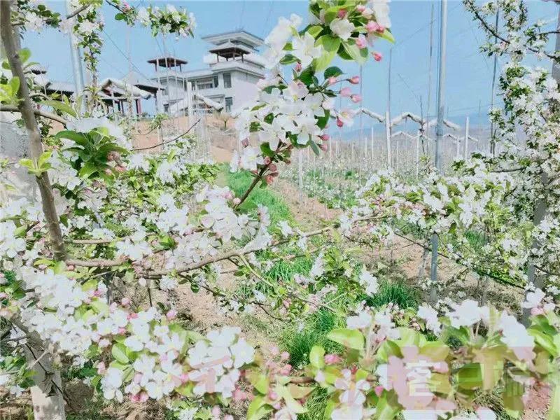 微(wēi)信圖片_20210414161816.jpg